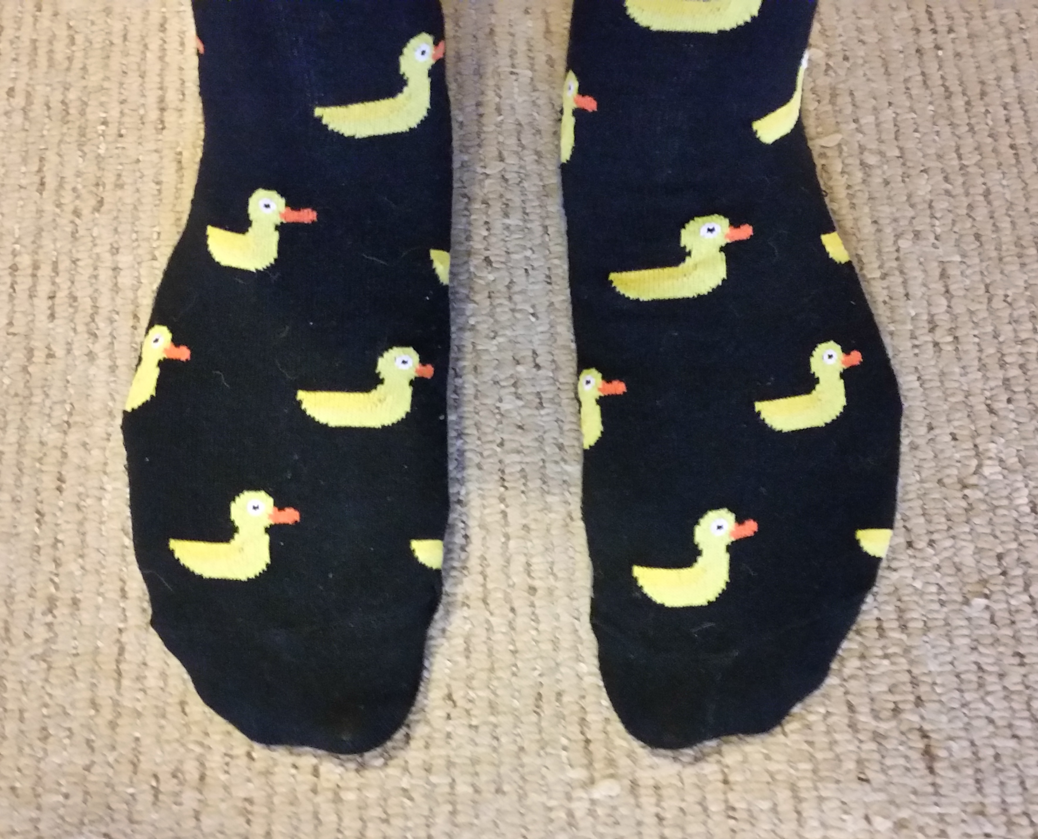 duck socks.jpg